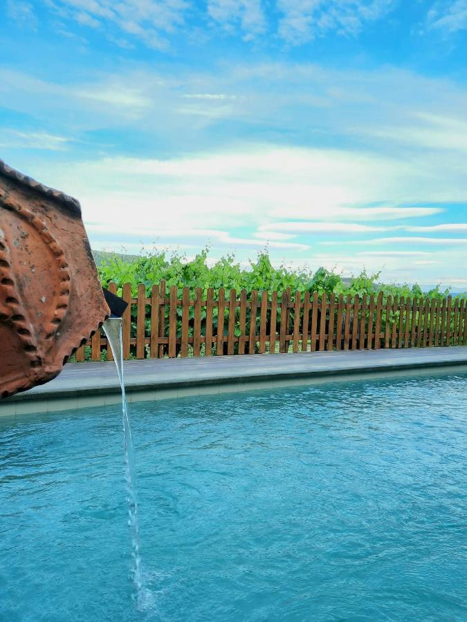 Vila Quintinha D'Amelia Celorico De Basto Exteriér fotografie