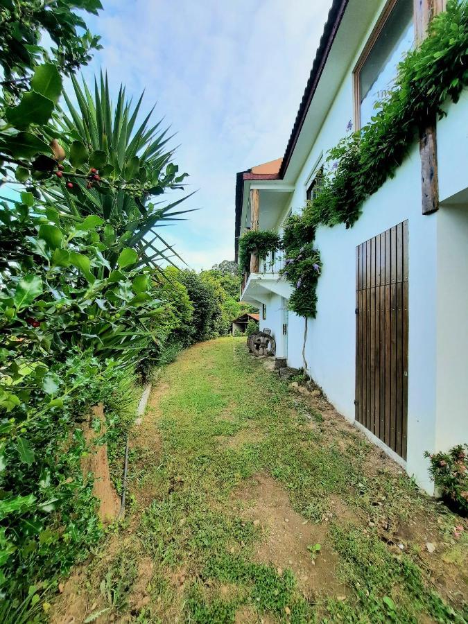 Vila Quintinha D'Amelia Celorico De Basto Exteriér fotografie