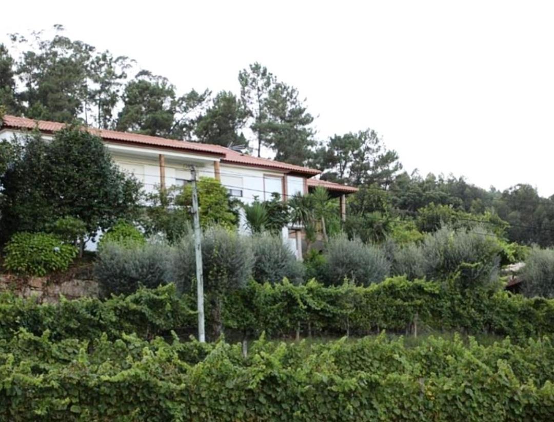 Vila Quintinha D'Amelia Celorico De Basto Exteriér fotografie
