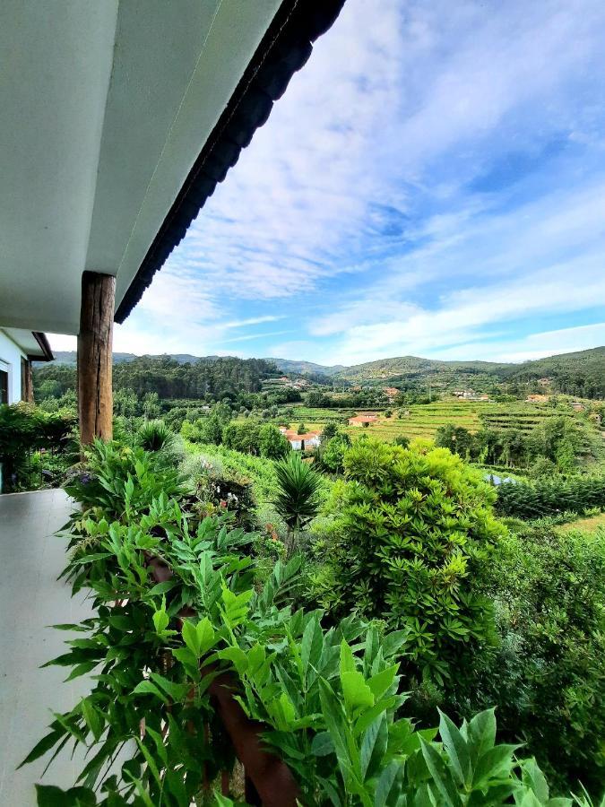 Vila Quintinha D'Amelia Celorico De Basto Exteriér fotografie